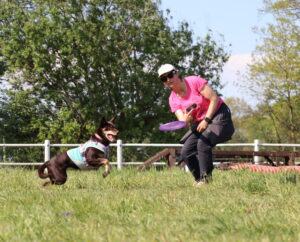 Dogfrisbee Seminar mit Björn Tigges - ANMELDUNG Teilnahme OHNE Hund