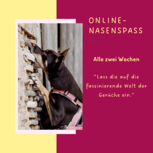 Geruchsdifferenzierung an einer Mauer
