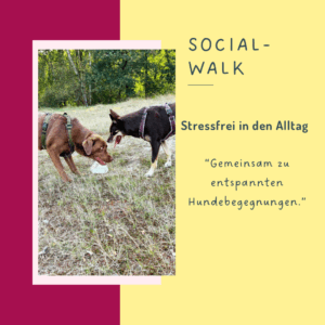 Social Walk