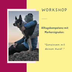 Alltagskompetenz für deinen Hund
