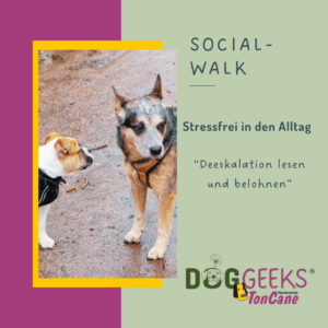 Social Walk – Deeskalation lesen und belohnen