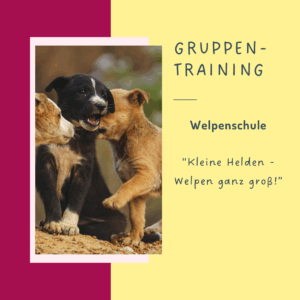 Welpenschule - kleine Helden ganz groß