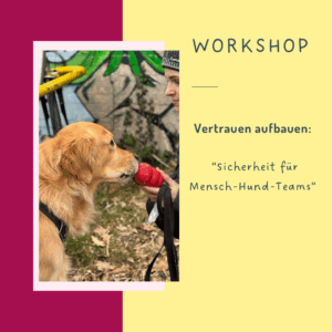 Vertrauen und Optimismus stärken