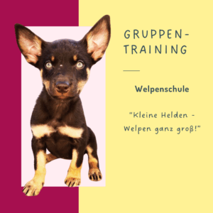 Welpentraining, Welpensozialisierung