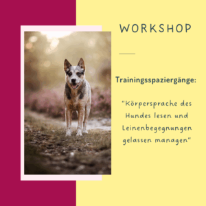 Workshop: Trainingsspaziergänge: Körpersprache des Hundes lesen und Leinenbegegnungen gelassen managen