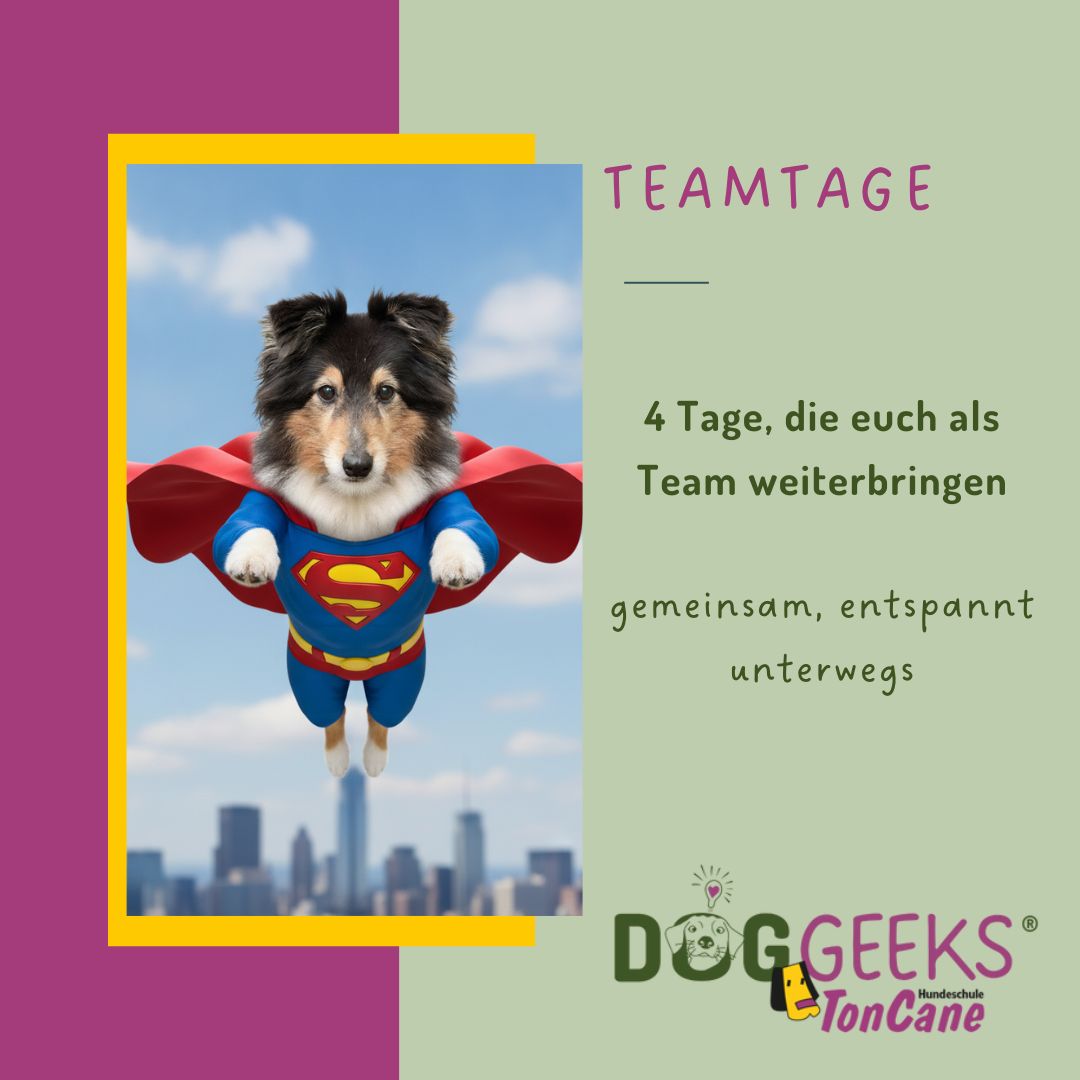 Mensch-Hund-Team beim Training während der DogGeeks TonCane Teamtage in Seevetal und Rosengarten