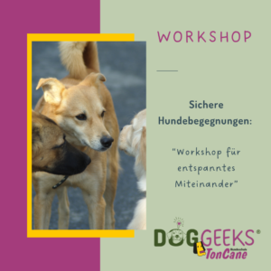 Workshop sichere Hundebegegnungen bei DogGeeks TonCane