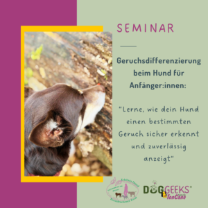 Geruchsdifferenzierung Hund – Scent Detection Praxisseminar in Hellwege inkl. Webinar