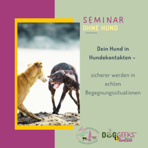 Dein Hund in Hundekontakten – Praxisseminar Deeskalation ohne Hund