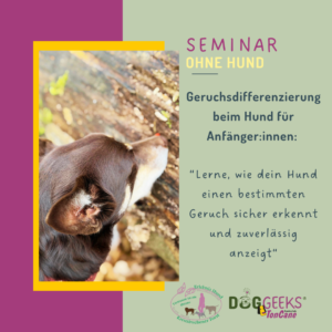Scent Detection verstehen – Geruchsdifferenzierung Praxisseminar in Hellwege ohne Hund inkl. Webinar