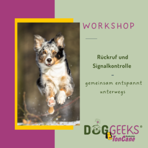 Rückruf und Signalkontrolle – Gemeinsam entspannt durch den Alltag