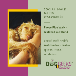 Pause Play Walk – Waldzeit mit Hund: Social Walk trifft Waldbaden. Live-Webinar plus achtsamer Walk im Waldgebiet Rosengarten für Entschleunigung, Sinneswahrnehmung und Bindung zwischen dir und deinem Hund.